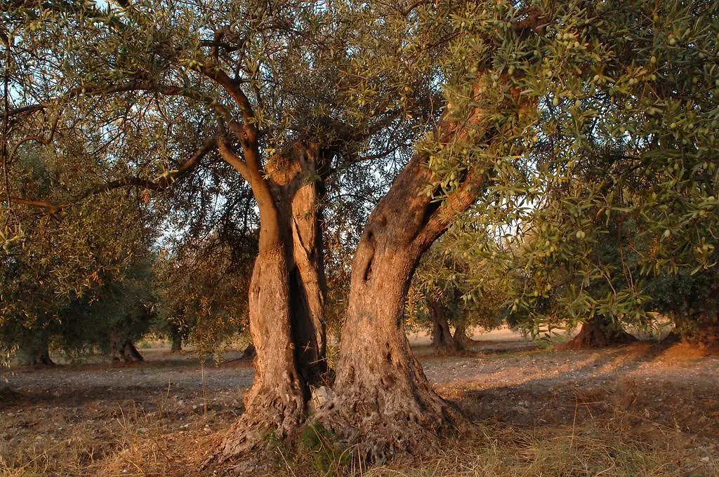 Alojamento de Turismo Rural Villa Zottopera - Dimora Di Sicilia Chiaramonte Gulfi